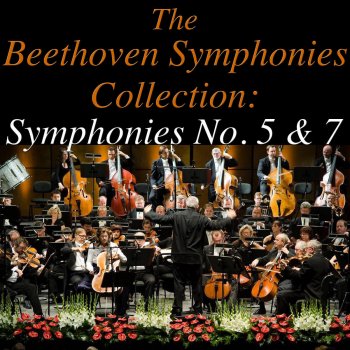 Sinfonia Varsovia feat. Yehudi Menuhin Symphony No. 5 In C Minor, Op. 67: Allegro Con Brio
