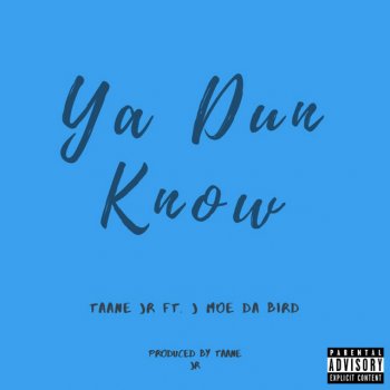 Taane Jr feat. J Moe Da Bird Ya Dun Know