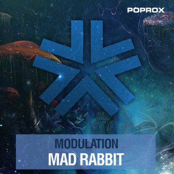 Modulation Mad Rabbit - Original Mix