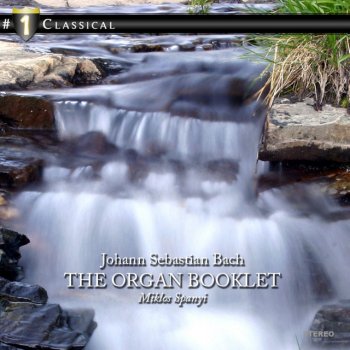 Miklós Spányi Chorals For Organ, BWV 599 - 644 (Organbüchlein) BWV 625: Christ Lag In Todesbanden