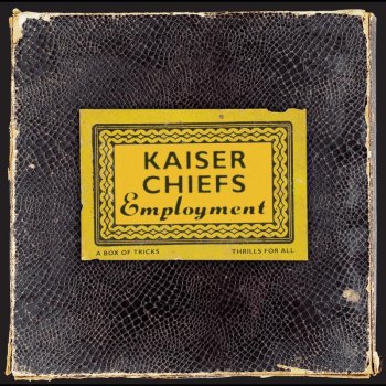 Kaiser Chiefs What Did I Ever Give You?