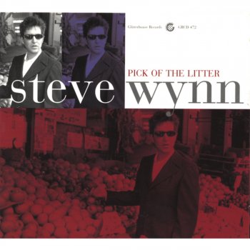 Steve Wynn Invisible