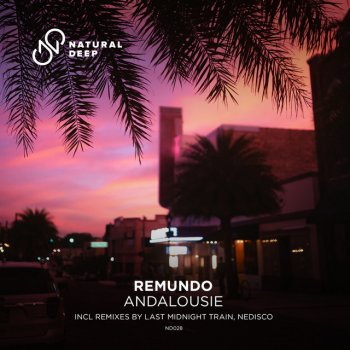 Remundo feat. Nedisco Andalousie - Nedisco Remix