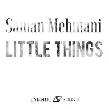 Saman Mehmani Little Things - Original Mix