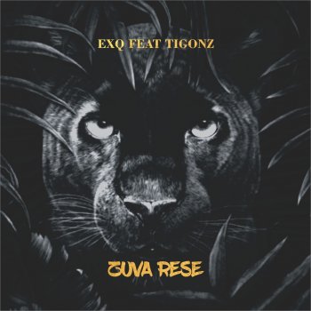 ExQ Zuva Rese (feat. Ti Gonzi)