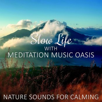 Relaxation Meditation Songs Divine No More Stress