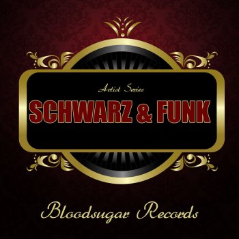 Schwarz & Funk Take Me Home