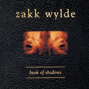 Zakk Wylde Between Heaven & Hell
