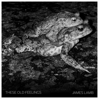 James Lamb These Old Feelings