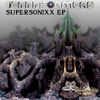 Terraformers Supersonixx (David Shanti Remix)