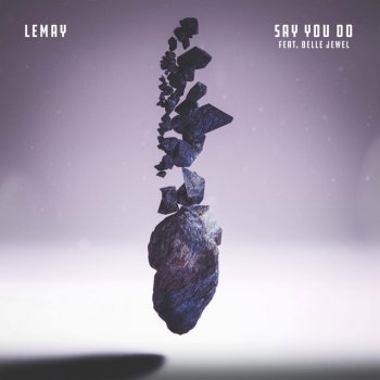LeMay Say You Do