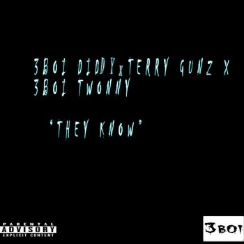 Terry Gunz feat. 3boi Diddy & 3boi Twonny They Know