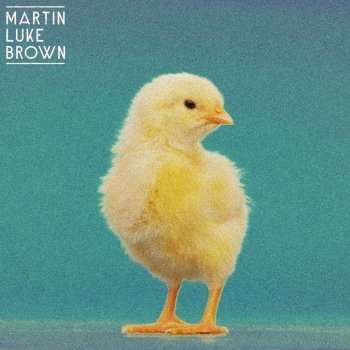 Martin Luke Brown Opalite