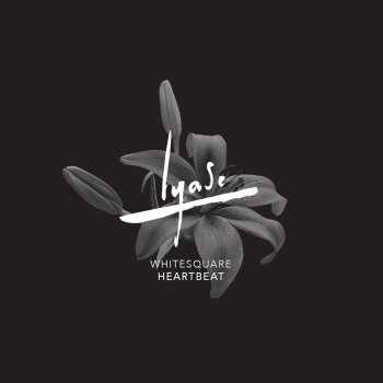 Whitesquare Heartbeat