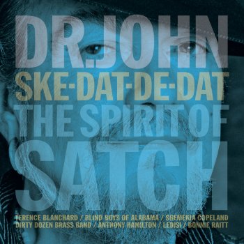 Dr. John feat. Bonnie Raitt I've Got the World on a String (feat. Bonnie Raitt)