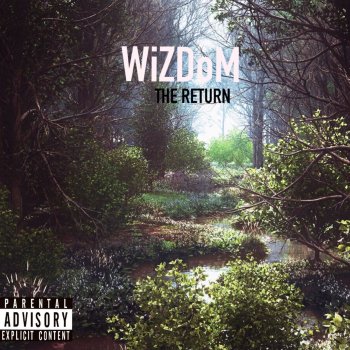 WizDoM The Return