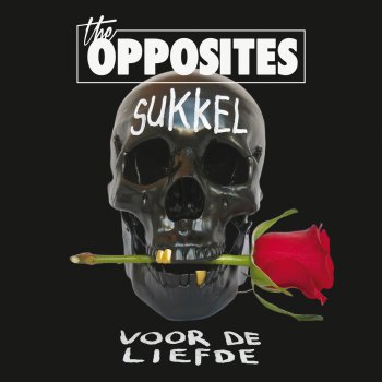 The Opposites & Mr Probz Sukkel Voor De Liefde - Instrumental