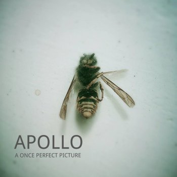 Apollo A Once Perfect Picture
