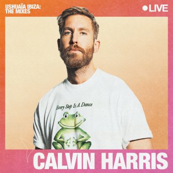 Calvin Harris Satisfaction (Mixed)