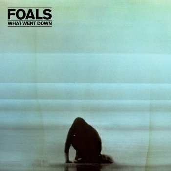 Foals Night swimmers