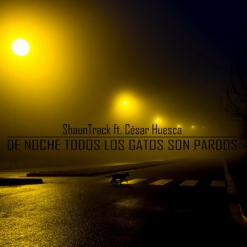 Shaun Track feat. Cesar Huesca De Noche Todos Los Gatos Son Pardos