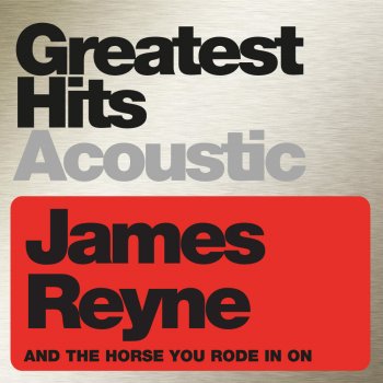 James Reyne Downhearted - Acoustic