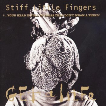 Stiff Little Fingers Shake It Off