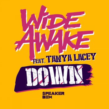 Wide Awake feat. Tanya Lacey Down