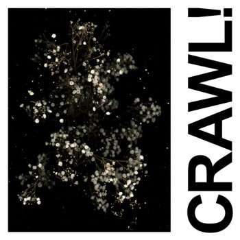IDLES Crawl! - DGG Edit