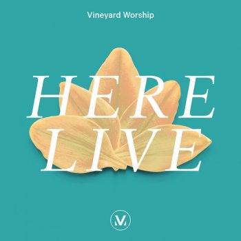 Vineyard Worship feat. Joshua Miller You're Carrying Me - Live