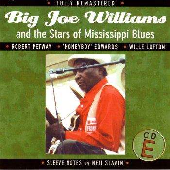 Big Joe Williams Rainy Day Blues