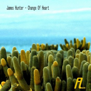James Hunter Change of Heart (Original Mix)