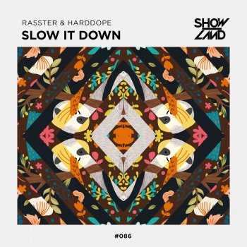 Rasster feat. Harddope Slow It Down