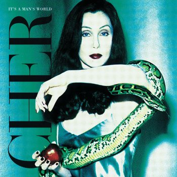 Cher Not Enough Love in the World