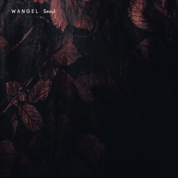 Wangel feat. Tidewarp Seoul - Tidewarp Remix