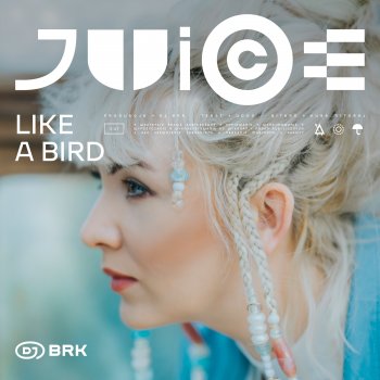 DJ BRK feat. Udoo Like A Bird