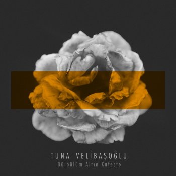 Tuna Velibaşoğlu Bülbülüm Altın Kafeste