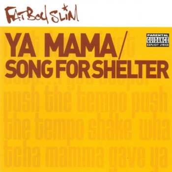 Fatboy Slim Song for Shelter (The 20:20 Vision Rollin' Mix)