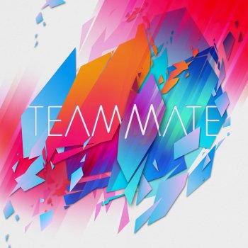 Team​Mate Nothing's Ever Over