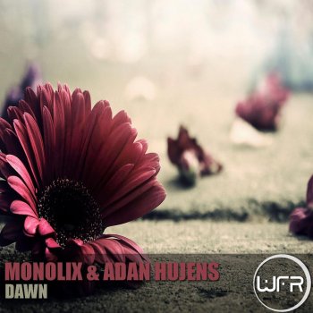 Monolix feat. adan hujens Dawn