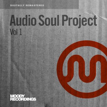 Audio Soul Project You Can Have It