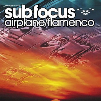 Sub Focus Airplane