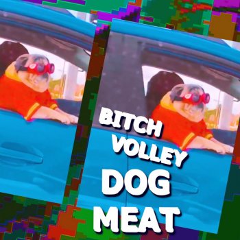 Bitch Volley Dog Meat