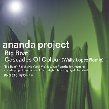 The Ananda Project Cascades of Colour (Denny Tenaglia's Edit of the Saffron mix)