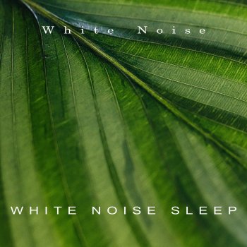 White Noise Soft Noises