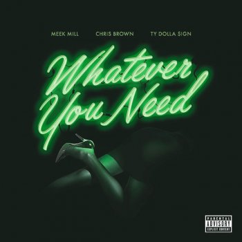 Meek Mill feat. Chris Brown & Ty Dolla $ign Whatever You Need