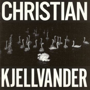 Christian Kjellvander Bird Black Sky