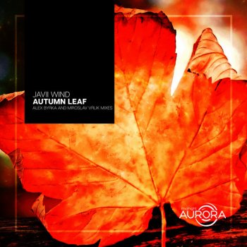 Javii Wind feat. Miroslav Vrlik Autumn Leaf - Miroslav Vrlik Tech House Remix