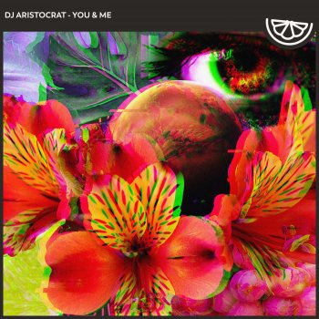 DJ Aristocrat You & Me - Instrumental Mix
