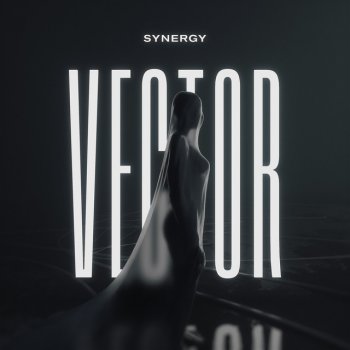 Synergy Vector